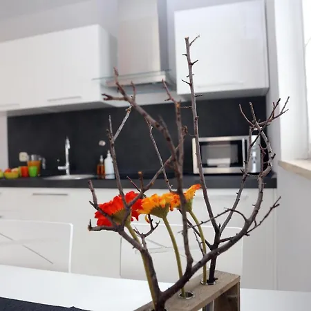 Apartment Dandelion Fazana