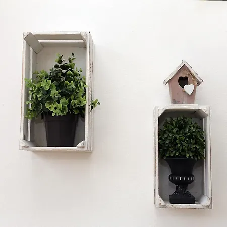 Dandelion - Free Parking